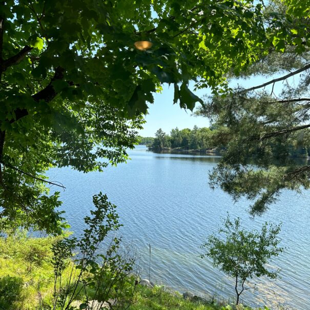 View of Clayton Lake