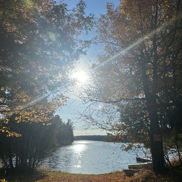 Lake access beside the cottage