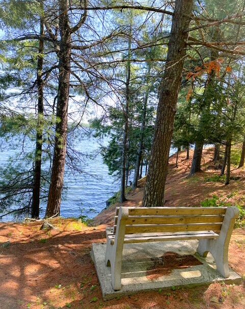 View from the bench at the shoreline overlooking Clayton Lake