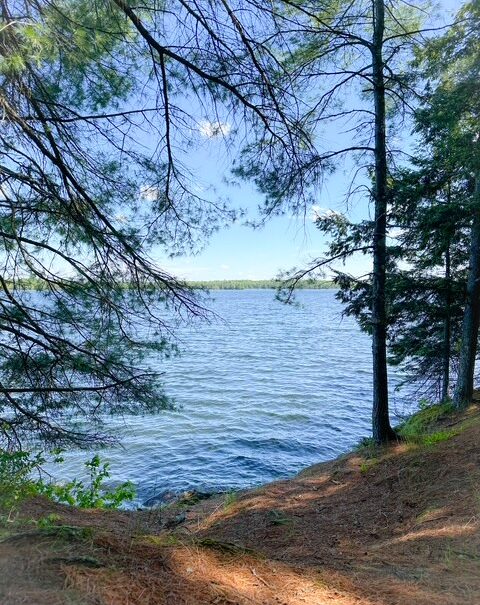 Beautiful Clayton Lake