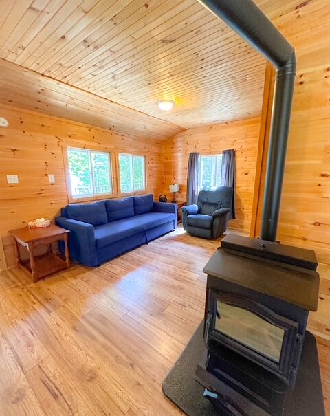 Livingroom with pull out sofa bed